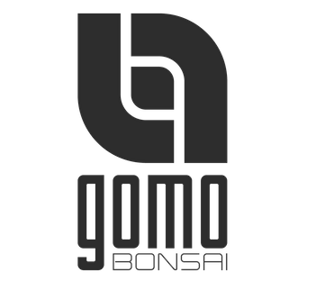 Gomo Bonsai - Manuel Germade