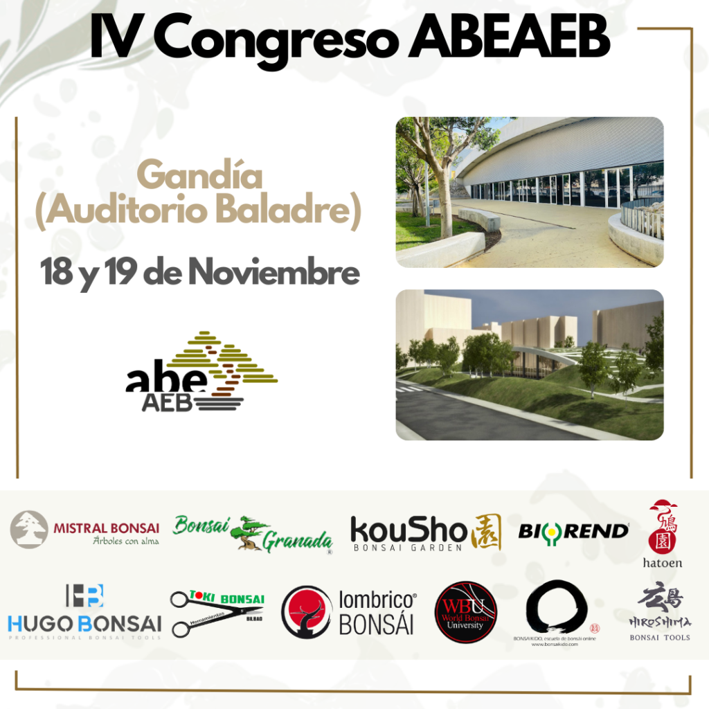 IV Congreso ABEAEB
