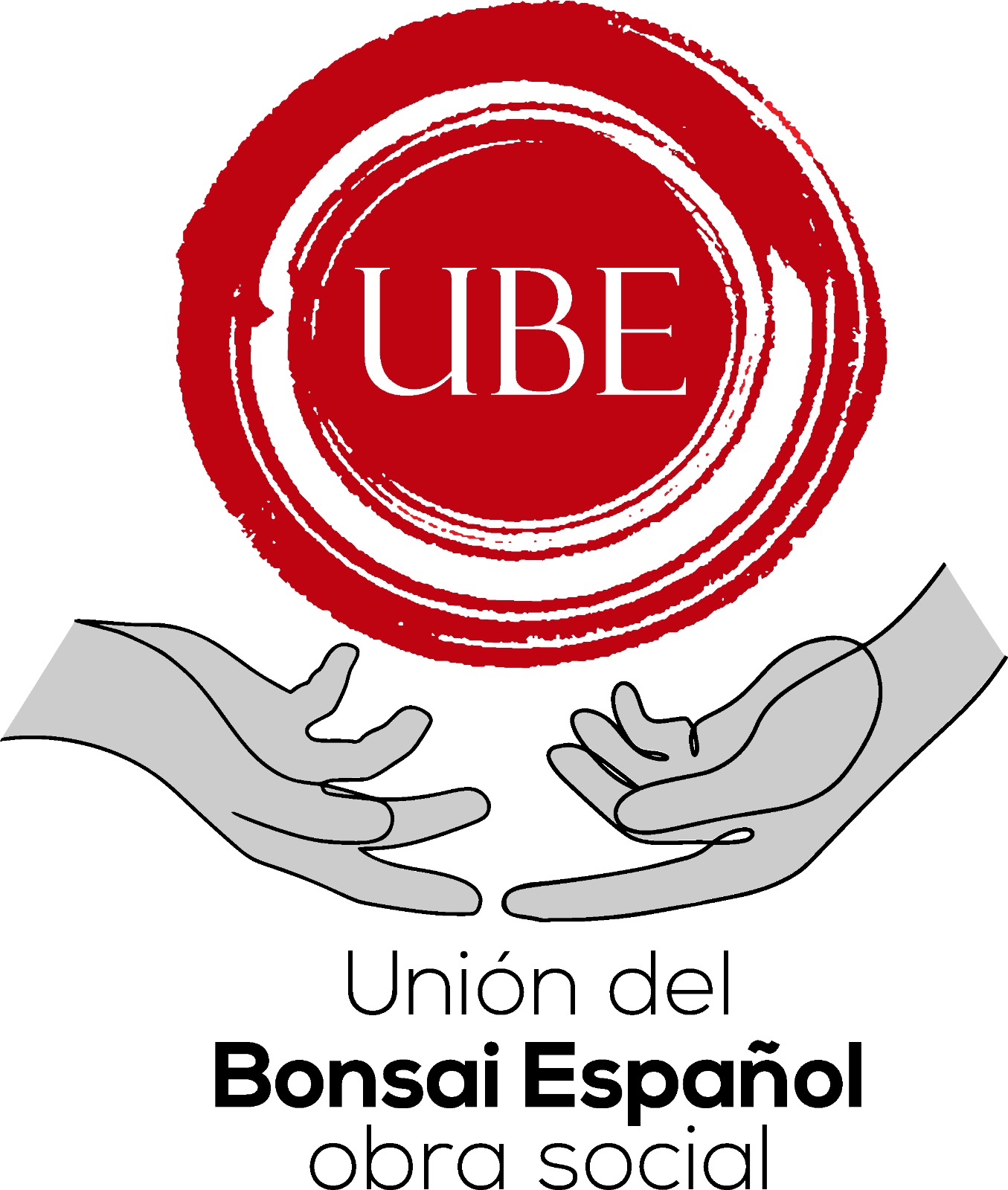 Obra social UBE