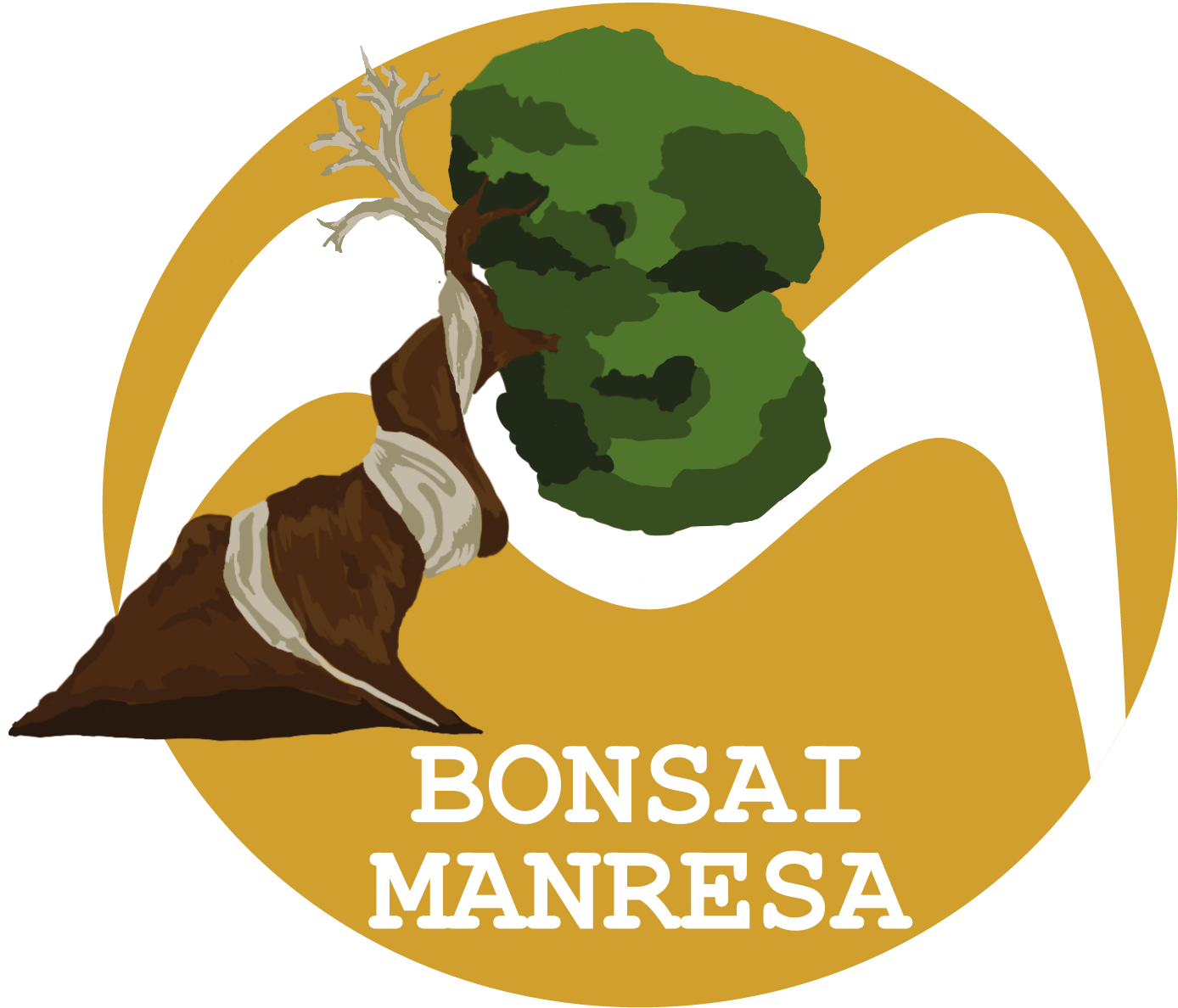 Bonsai Manresa