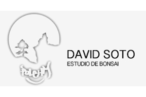 Bonsai David Soto - Navas de Riofrío (Segovia)