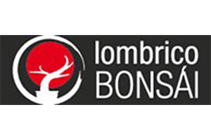 Lombrico Bonsai