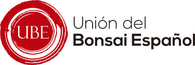 logo-ubebonsai