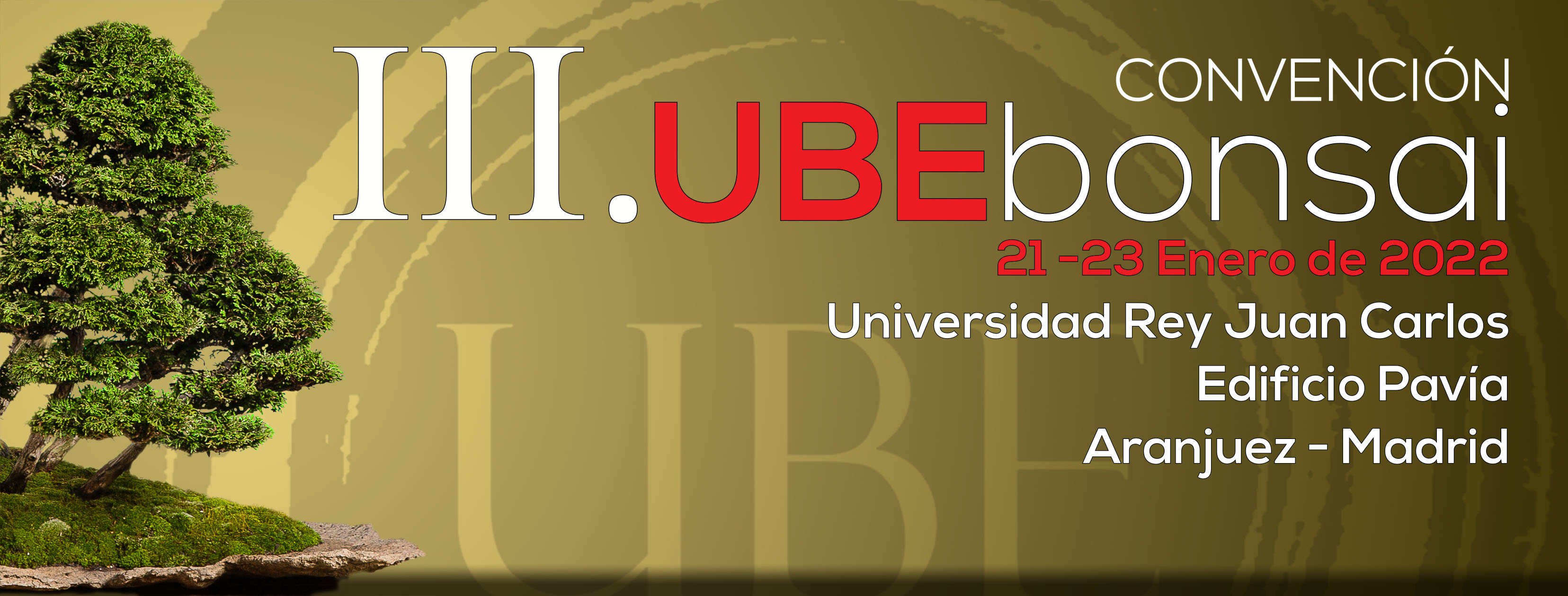 banner III UBEbonsai pavia