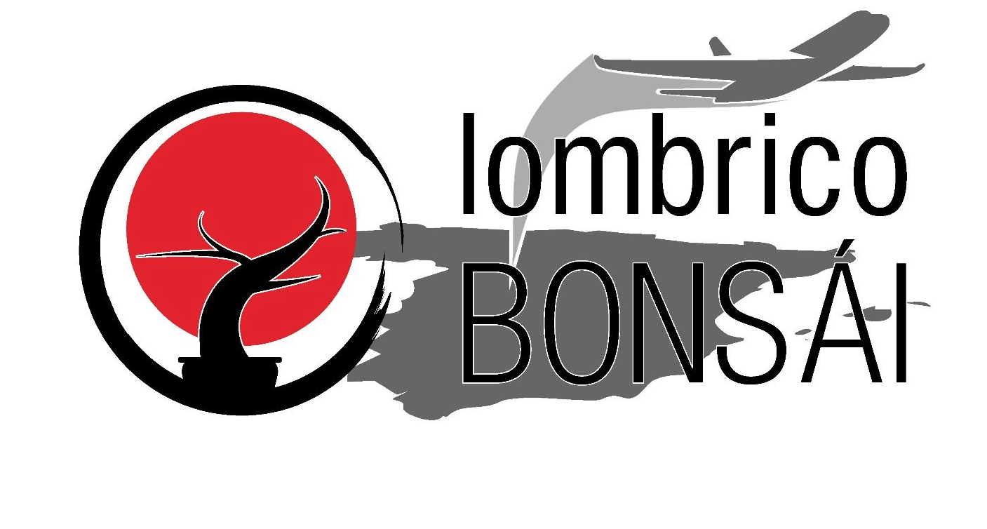 patrocinador platino2026